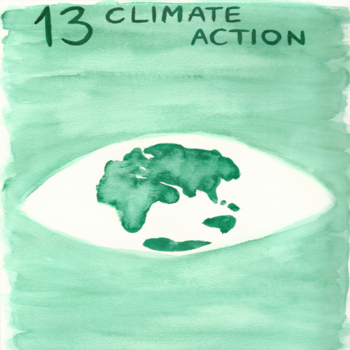 13: Climate action