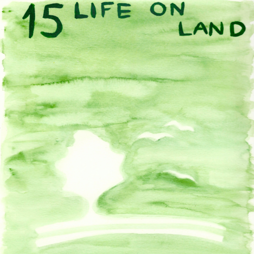 15: Life on land